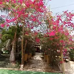 Ponylandia Campestre